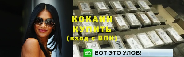 метадон Каменка