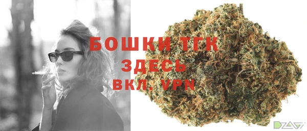 метадон Каменка