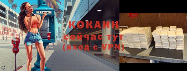 метадон Каменка