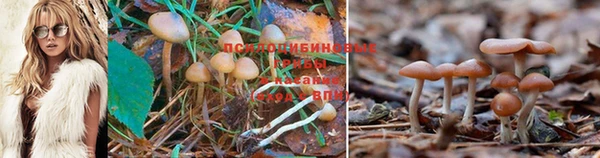 mdma Каменногорск