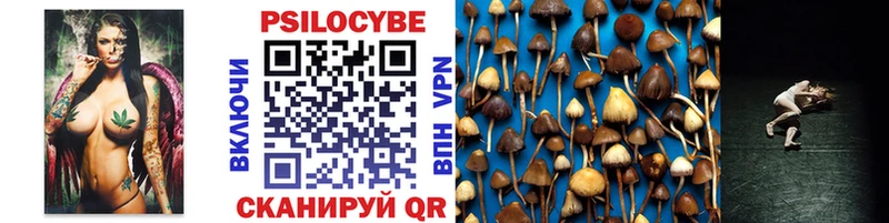 Купить закладки  Бирюч  Галлюциногенные грибы Psilocybine cubensis 