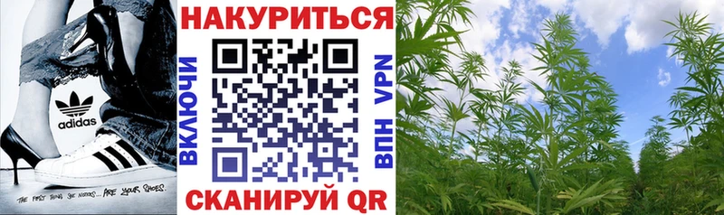 Купить закладки  Бирюч  Шишки марихуана VHQ 